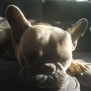 Meet your Posher, Uprise